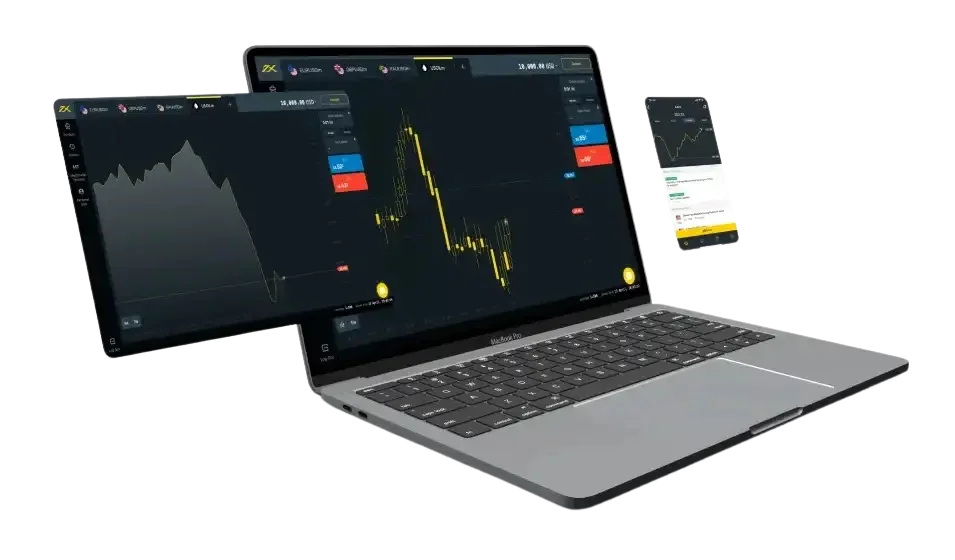 Exness Educational Resources and Tools